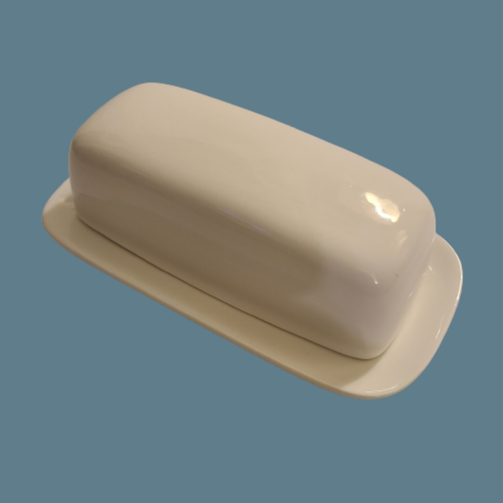 NWOT World Market Butter Dish